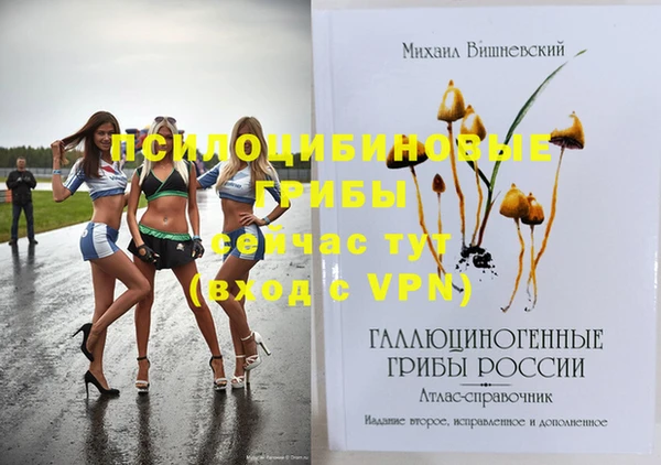 МДПВ Белокуриха