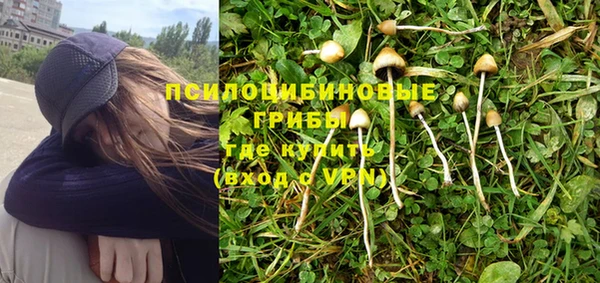 спиды Беломорск