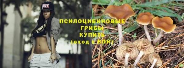 МДПВ Белокуриха