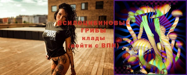 гидра Белоозёрский